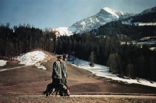 Walther Hewel walks with Hitler (foreground) and 'Blondi" in the Alps