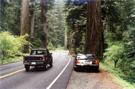 Red Wood Highway, California 199