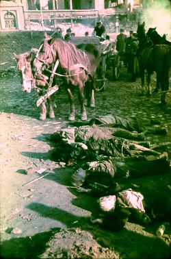 Dresden 1945, victims awaiting mass cremation