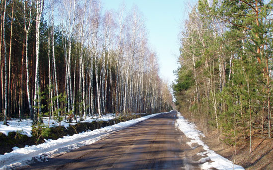 Road to Sobibor